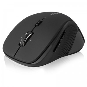Rapoo 3900P Mouse