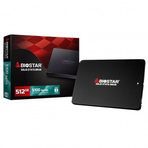 حافظه اس اس دی Biostar S100 512GB