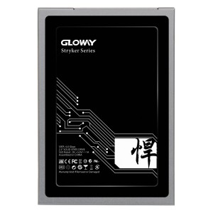 حافظه اس اس دی Gloway STK 960GB