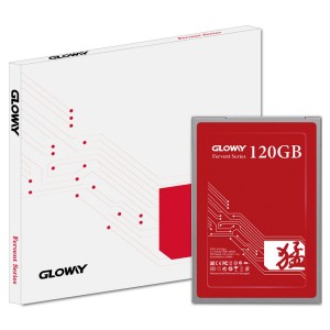 حافظه اس اس دی Gloway Fervent 120GB
