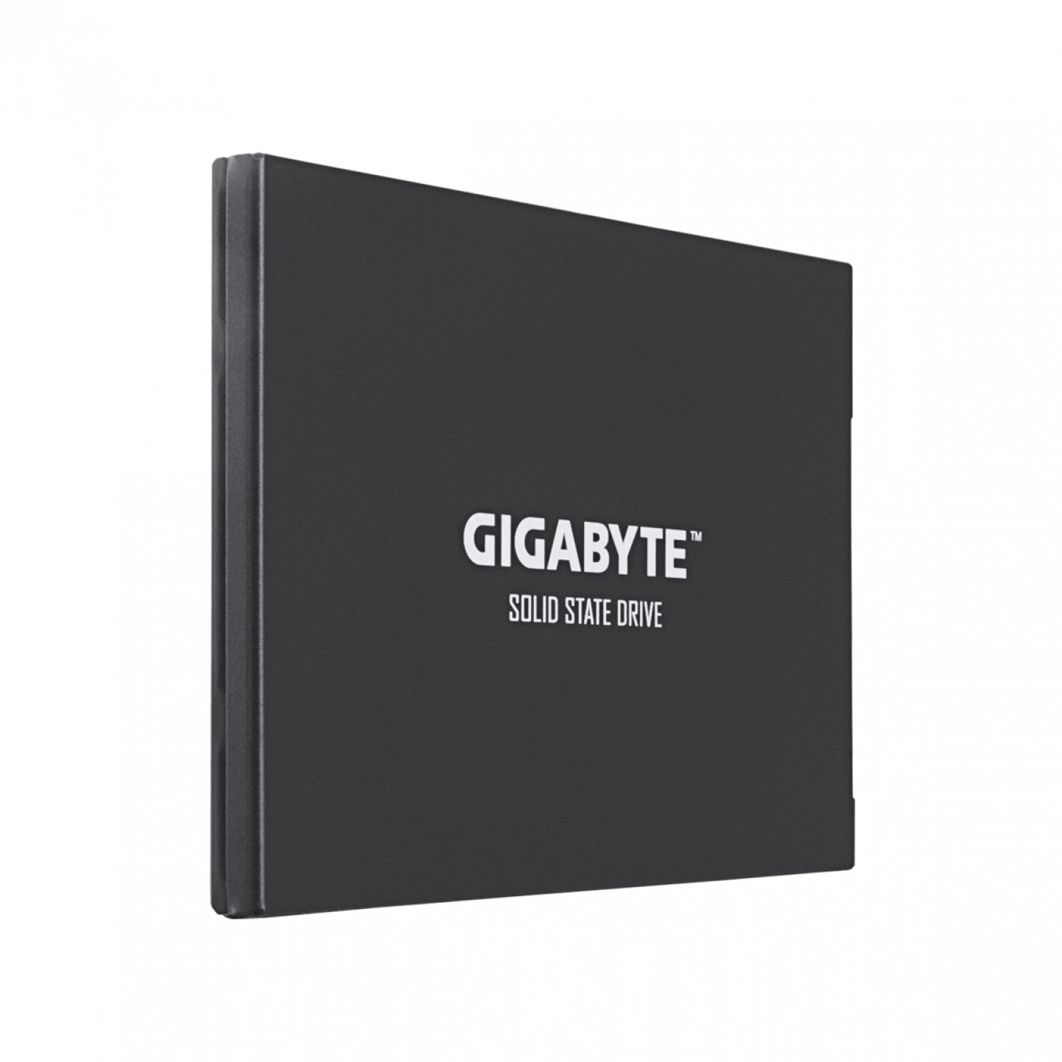 حافظه اس اس دی GIGABYTE UD PRO 512GB-1