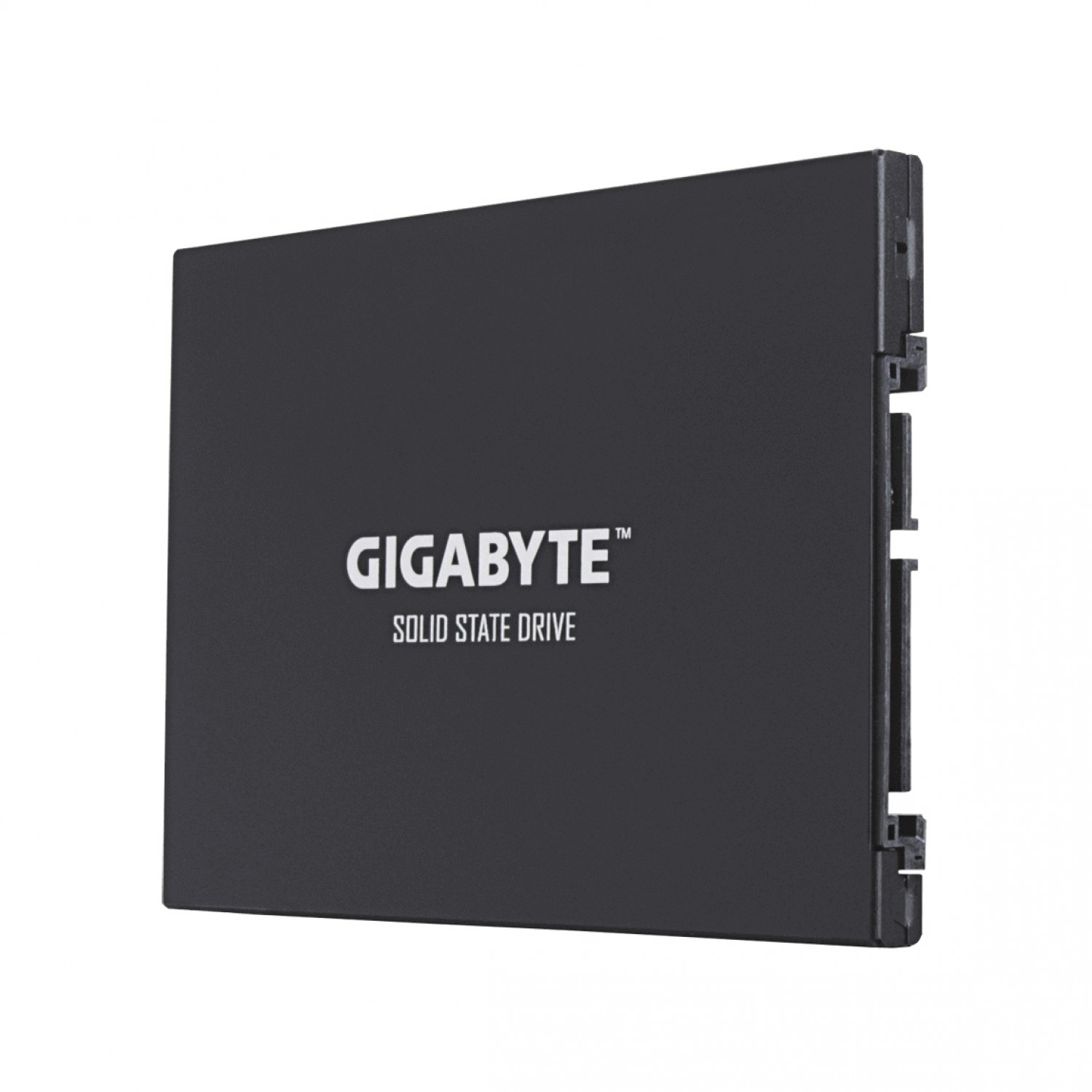 حافظه اس اس دی GIGABYTE UD PRO 1TB-3